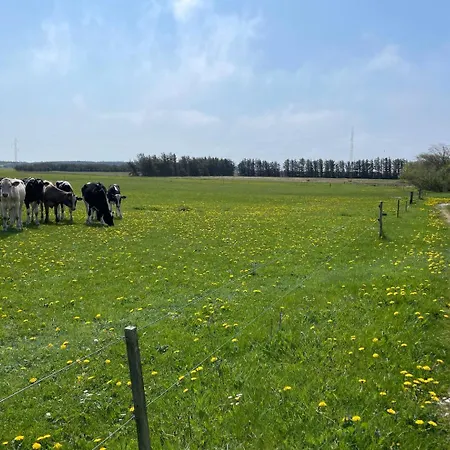 Appartement Surfreservatet I Nationalpark Thy *