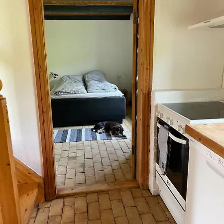 Surfreservatet I Nationalpark Thy 汉斯特霍尔姆