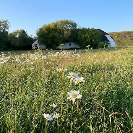 Surfreservatet I Nationalpark Thy * Hanstholm
