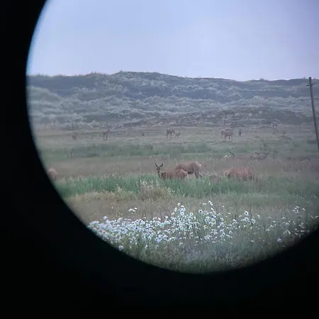 Surfreservatet I Nationalpark Thy 公寓 *