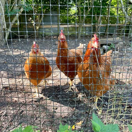 Surfreservatet I Nationalpark Thy *